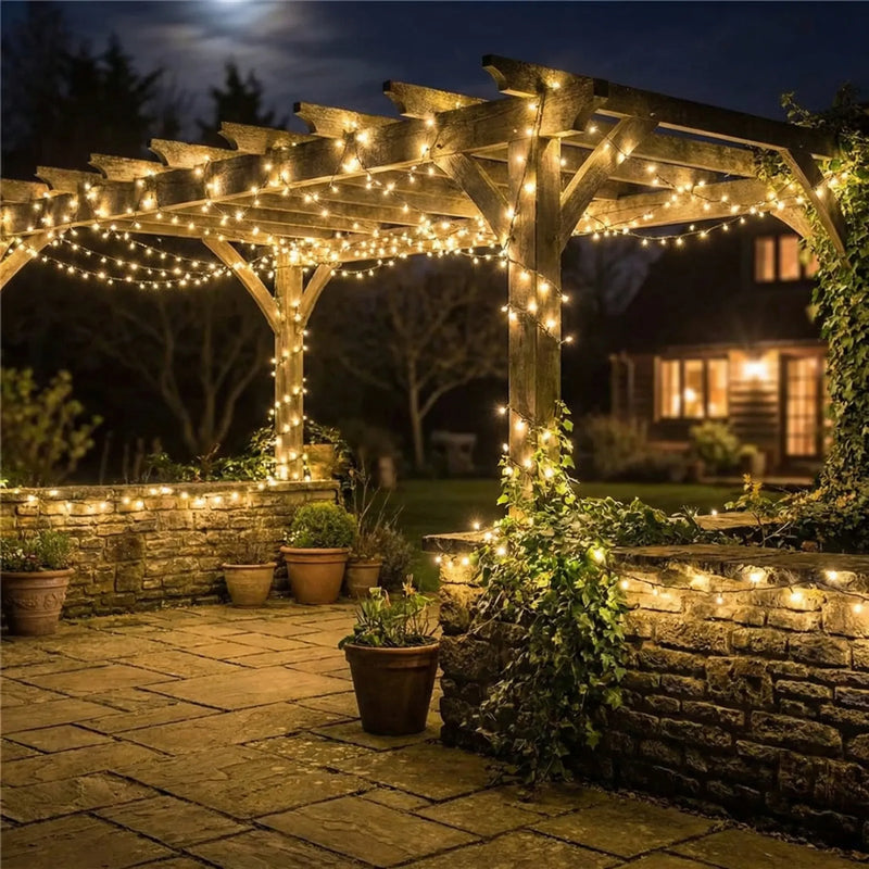Festoon Lights