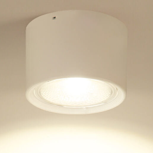 Nordic LED Flush Mount Ceiling Light | Cylinder Spotlight | Modern Minimalist Indoor | Lologe
