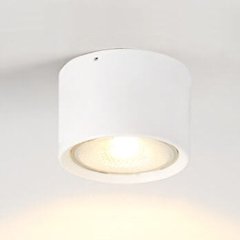 Nordic LED Flush Mount Ceiling Light | Cylinder Spotlight | Modern Minimalist Indoor | Lologe