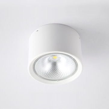 Nordic LED Flush Mount Ceiling Light | Cylinder Spotlight | Modern Minimalist Indoor | Lologe