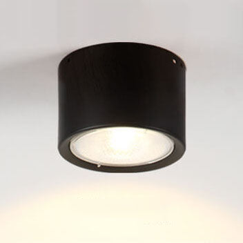 Nordic LED Flush Mount Ceiling Light | Cylinder Spotlight | Modern Minimalist Indoor | Lologe