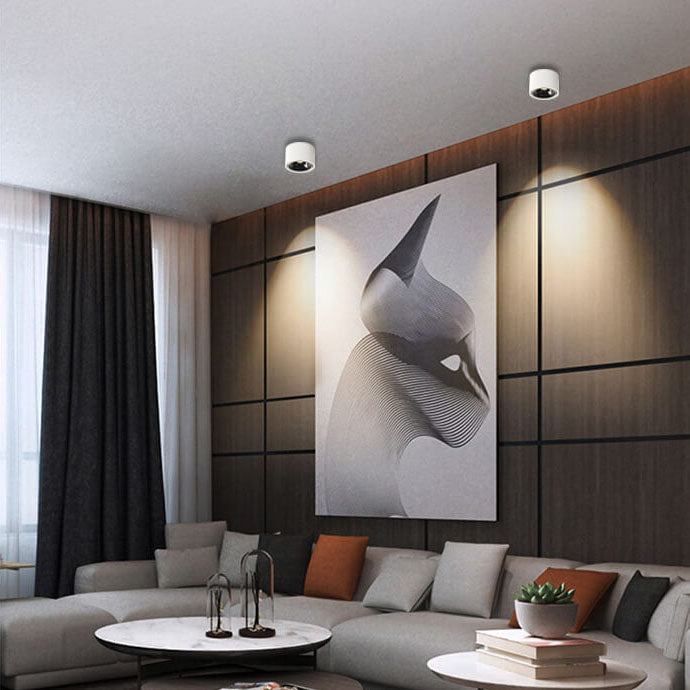 Adjustable LED Flush Mount Spotlight Ceiling Light | Modern Minimalist Lighting | Lologe
