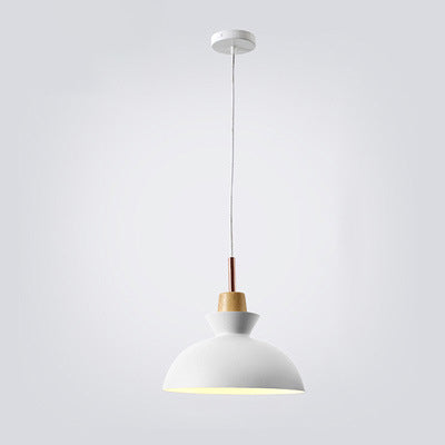 Nordic Pendant Light for Living Room | Oak Wood Iron Bell Dome Design | Lologe