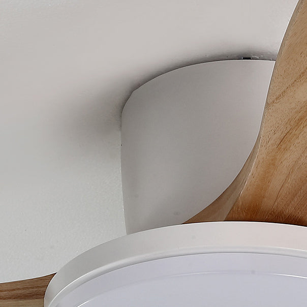 LED Ceiling Fan Light | For Living Room | Copper Wood Acrylic | Semi-Flush Mount | Lologe