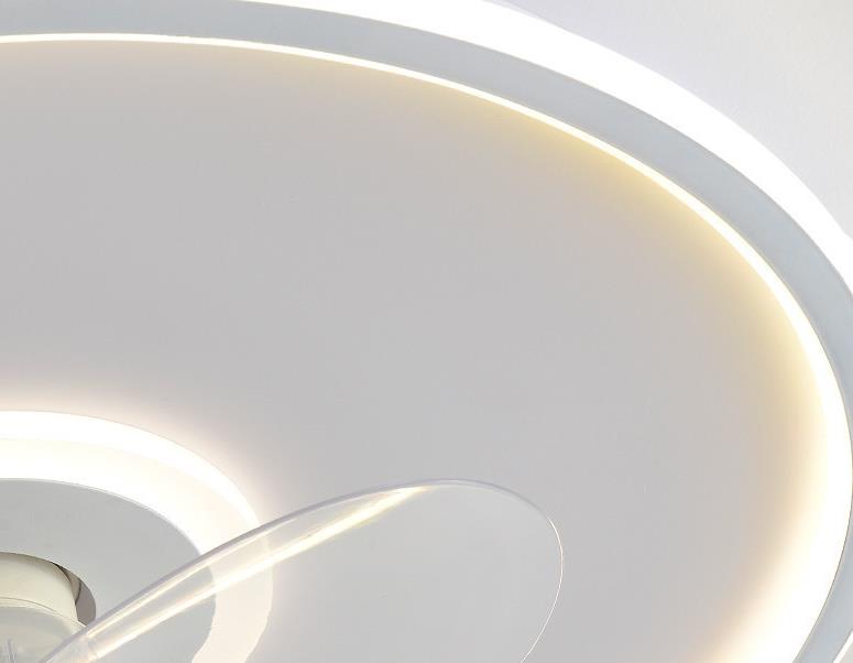LED Ceiling Fan Light | Minimalist Acrylic Round | Flush Mount | Lologe