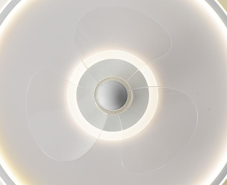 LED Ceiling Fan Light | Minimalist Acrylic Round | Flush Mount | Lologe