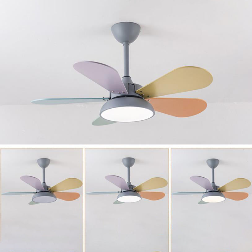 LED Ceiling Fan Light | For Kids Room | Colorful Round Blade | Semi-Flush Mount | Lologe