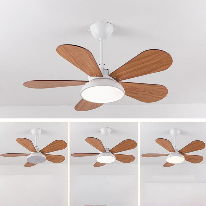 LED Ceiling Fan Light | For Kids Room | Colorful Round Blade | Semi-Flush Mount | Lologe