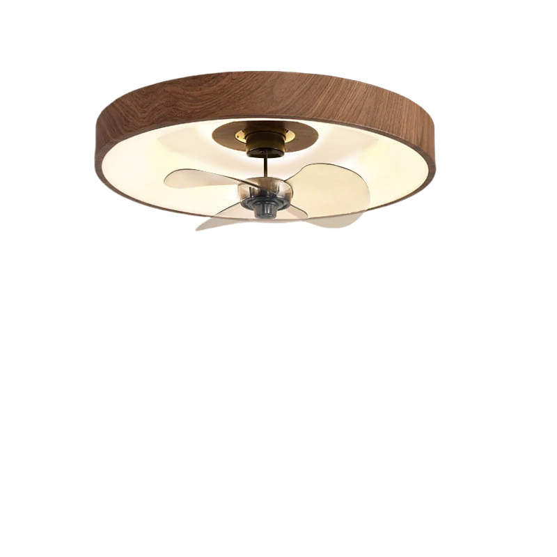 Bedroom LED Ceiling Fan Light | Iron Acrylic Flush Mount | Lologe