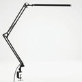 Deskray - Long-Arm Clamp LED Desk Lamp- Focused Desk Lighting