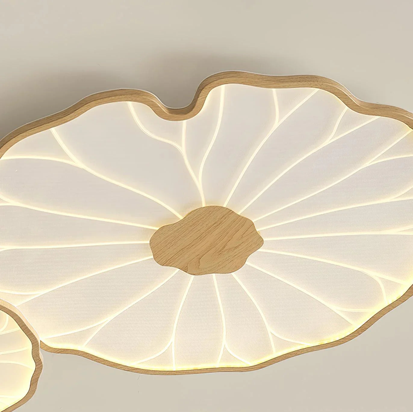 Lotus Leaf Ceiling Light | Living Room Bedroom Creative Modern Design | Lologe
