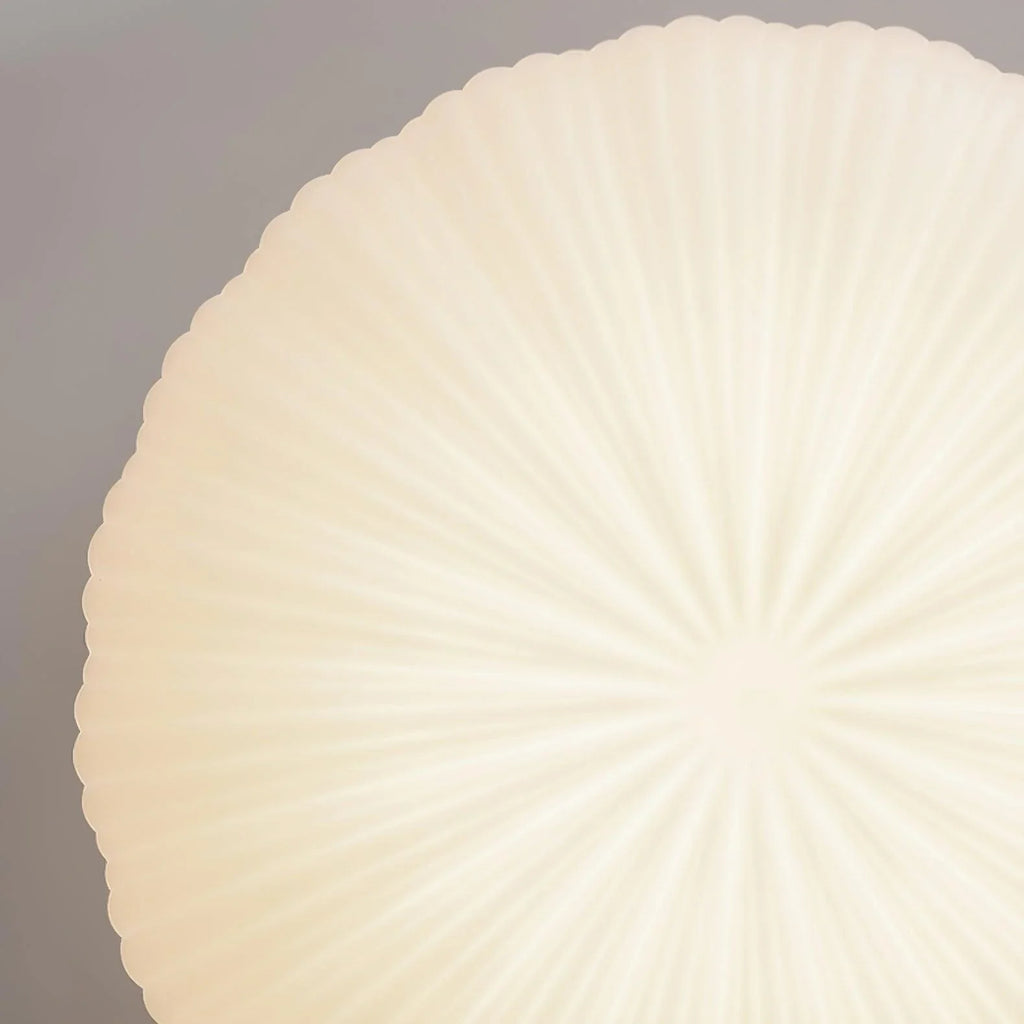 Round Ceiling Light | Bedroom Living Room Shell-Inspired Minimalist Design | Lologe