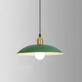 Industrial Green Iron Pendant Light | Vintage Loft Character | Lologe