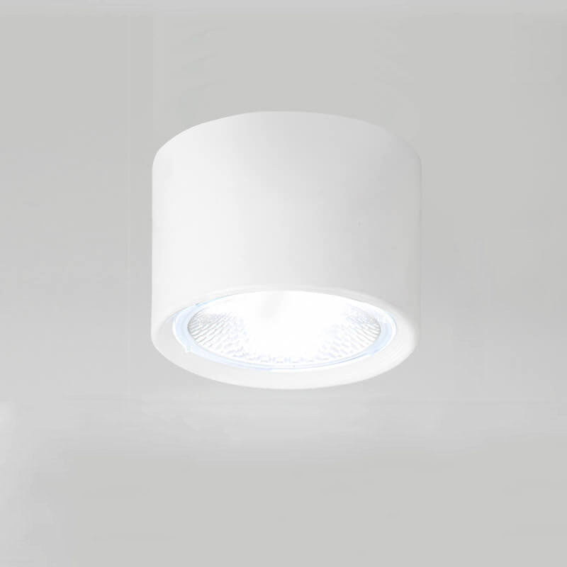Nordic LED Flush Mount Ceiling Light | Cylinder Spotlight | Modern Minimalist Indoor | Lologe