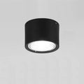 Nordic LED Flush Mount Ceiling Light | Cylinder Spotlight | Modern Minimalist Indoor | Lologe