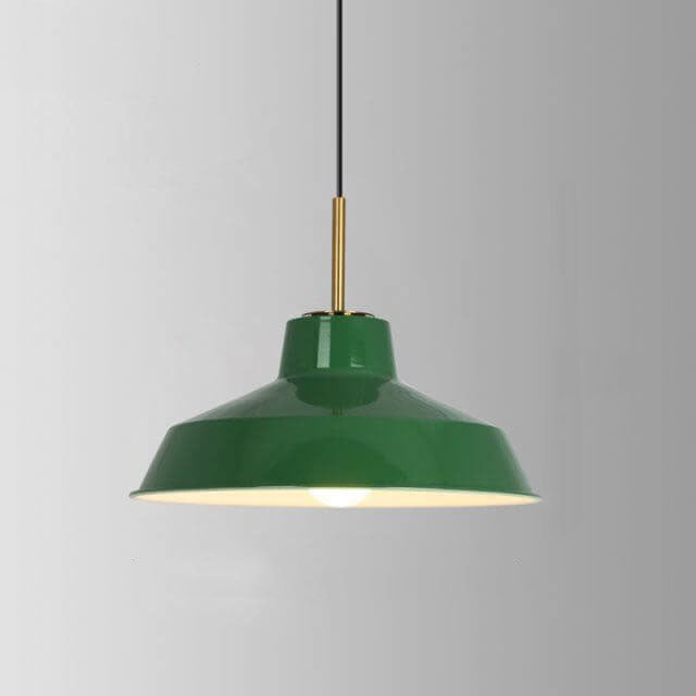 Industrial Green Iron Pendant Light | Vintage Loft Character | Lologe
