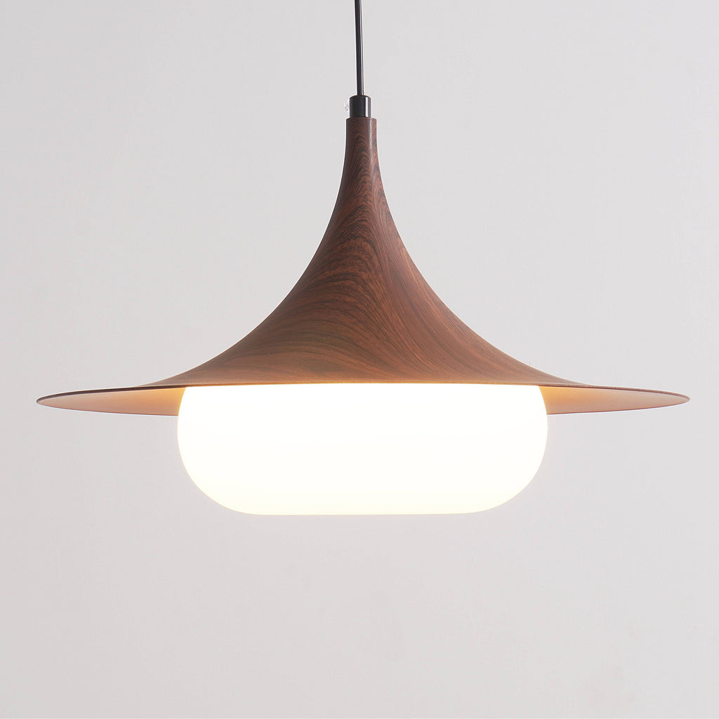 Swing Arm Pendant Light | Adjustable Ceiling Lighting for Dining Room | Lologe