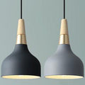 Modern Macaron Disc Pendant Light | Dining Room Iron Shade | Lologe